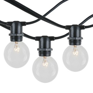 Novelty Lights Globe Outdoor String Lights with 25 Bulbs G30 Vintage Bulbs Black Wire 25 Feet - 1 of 4