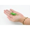 Collectible Wildlife Gifts | Grasshopper, Plastic Toy Animal,  Gift, Realistic Figure, Educational Model,  Gift,    3 inches long     F1661 B74 - 2 of 4