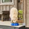 Farm Innovators Signature Series 60 Watt 5.5 Quart Electric Heated Pet Water Bowl with Stainless Steel Insert and Thermostatic Control, Blue - 3 of 4