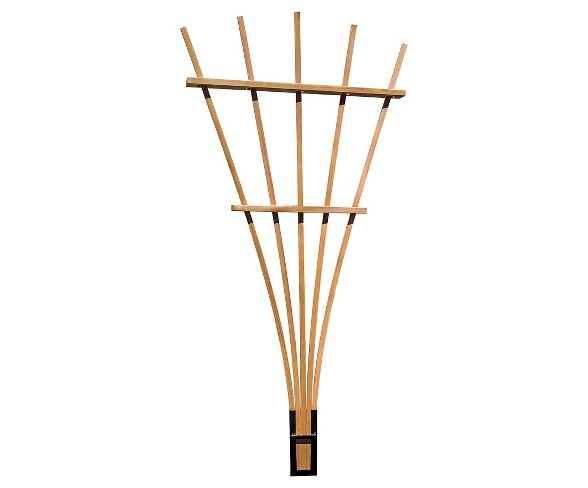 38" x4" x 72" Expandable Fan Trellis Kit - Western Red Cedar - Gronomics
