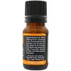 Plantlife Balance Aromatherapy Essential Oil Blend – 100% Pure, Therapeutic Grade, No Additives or Fillers, Made in California, 10 ml - 2 of 4