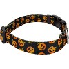 Country Brook Petz Deluxe Collar and Leash - Halloween Collection - 3 of 4