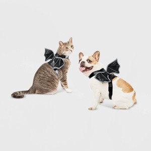 Reflective Halloween Bat Wings Rider Dog and Cat Costume - Hyde and EEK! Boutique™ - 1 of 4