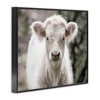 Stupell Industries White Cow Calf Portrait Black Framed Giclee Art - 3 of 4