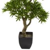 37" Artificial Bonsai Styled Podocarpus Tree in Planter - Nearly Natural - image 3 of 3
