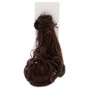 Wave Wrap Around Pony - R10 Chestnut by Hairdo for Women - 23 Inch Hair Extension - 2 of 3