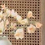 gray, olive, taupe, beige