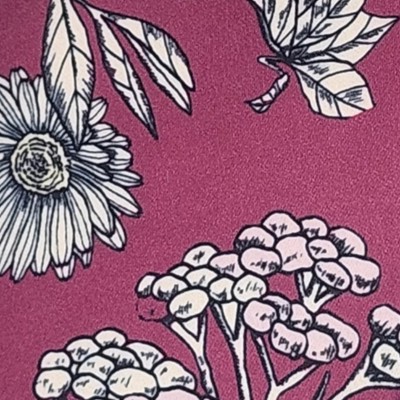 raspberry and white