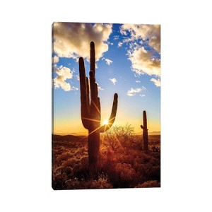 Sunset Saguaro National Park East V by Susanne Kremer Unframed Wall Canvas - iCanvas - 1 of 4