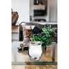 LEMONSODA Insulated Double Wall Milk Pitcher (8.5oz) - 4 of 4