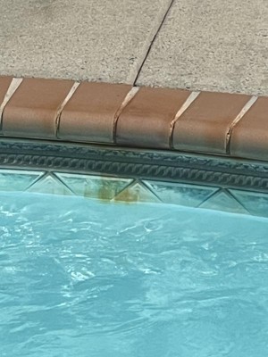 Guest review image 1 of 3, zoom in