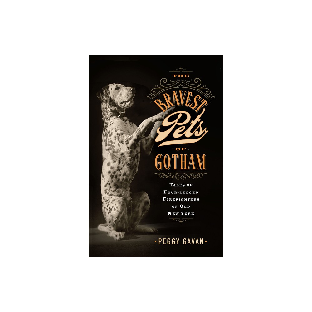 The Bravest Pets of Gotham - by Peggy Gavan (Hardcover)