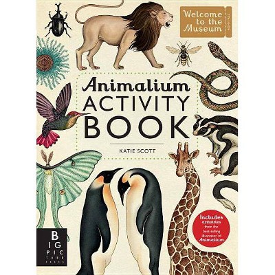 Animalium Activity Book - by  Big Picture Press (Paperback)