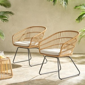 Rattan-Wrapped Patio Dining Chairs with Upholstered Cushions Arm Dining Chair with Metal Played Sled Legs-Tanpinhause - 1 of 4