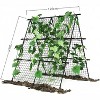 Cucumber Trellis, 4ftx 4ft Metal A-Frame Garden Trellis Climbing Plant Outdoor Support Fruit Grape Vine Vegetable Tomato Pea - 3 of 4