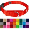 Country Brook Petz Heavy Duty Nylon Martingale Dog Collar with Deluxe Buckle - 30+ Vibrant Color Options - 2 of 4