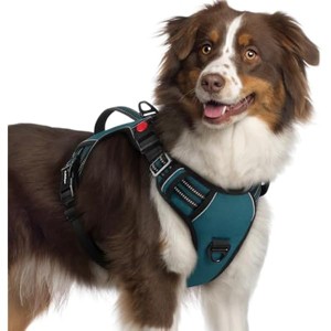 rabbitgoo Dog Harness Medium Sized, , Easy Walking Harness with 2 Leash Clips, Green, XL - 1 of 1