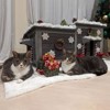 Aivituvin Insulated Cat House for Outside Winter | Warm Liner Inside-AIR93-IN - 2 of 4