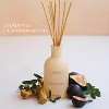 Benevolence LA Pacific Driftwood Reed Diffuser - image 3 of 4