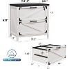SinCiDo Farmhouse File Cabinet 2 Drawer w/Lock, Home Office Lateral Filing Cabinet Compatible Legal Letter A4 F4 Size Documents - 2 of 4
