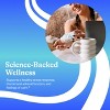 Seeking Health Ashwagandha Extract, Potent 467 mg Natural Ashwagandha with 5% Withanolide, Supports Balanced Mood, Focus, and Sleep(60 Capsules) - 4 of 4