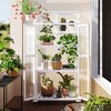 Gulches White Portable Wood Greenhouse with Planter Stands and Holders, 62" Height Cold Frame with Wheels - 2 of 4