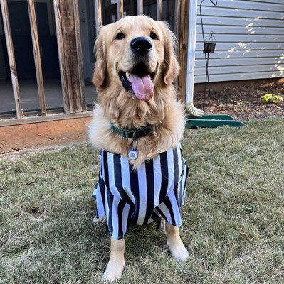 Target, Dog, Hyde Eek Boutique Referee Rufferee Dog Cat Halloween Costume  Size Small