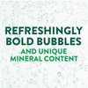 Perrier Carbonated Mineral Water, Original - 16.9 Fl Oz Plastic Bottle (Pack of 24) - 3 of 3