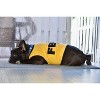 Parisian Pet 'FBI' Funny Slogan Dog Shirt – Trendy Yellow Pet Apparel for Dogs & Cats - 4 of 4