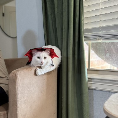 Guest review image 1 of 1, zoom in