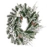 Vickerman Artificial Frosted Mixed Pine Wreath - image 4 of 4