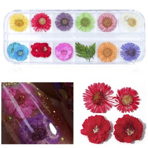 Wrapables Real Dry Flowers Nail Art 3d Flower Nail Decals Nail Manicure with Plastic Case (Set of 12), Daisies - 1 of 4