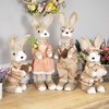 Northlight Rustic Boy Rabbit Easter Figure with Book - 16.25" - Beige - image 4 of 4