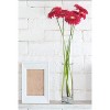4E's Novelty 16 Inch Cylinder Glass Vase, 3.5" Wide – Clear Tall Glass Vase for Centerpieces, Wedding Decor, Flowers & Candle Holder - 3 of 4