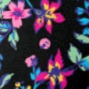 multi graphic floral