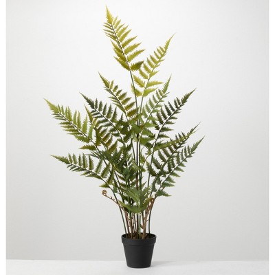 Sullivans Artificial Potted Fern; Green