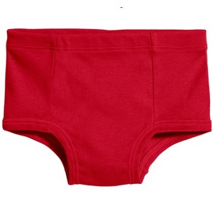 City Threads USA-Made Boys and Girls Soft Cotton Simple Brief - 1 of 3