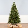 National Tree Company 7.5' Pre-lit Feel Real® Samson Fir Artificial Christmas Tree Clear Lights - 2 of 3