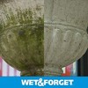 Wet & Forget Outdoor Ready to Use Moss, Mold, Mildew & Algae Stain Remover, 64 oz - 3 of 4