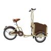 Topteng Cargo Bike, Three-Wheel Bicycle - 2 of 4