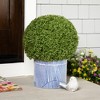 Northlight Boxwood Ball Artificial Topiary in Weighted Pot - 22" - 2 of 4