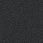 oakland as home 1988