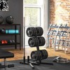 NAYSAYE Exercise Trainer Weight Plate Rack with Bar Holders for Home Gym Training , Black, 29.5"*29.5"*39.4" - 2 of 4