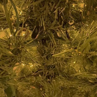 Guest review image 1 of 1, zoom in