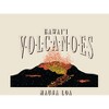 Adventure Society Hawaii Volcanoes Crew Neck Short Sleeve Adult T-shirt - 2 of 2