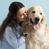 HTUTWOO Silicone Band Compatible with Apple Watch Band 38mm 40mm 41mm 42mm 44mm 45mm,Watch Bands for iWatch Ultra SE Series Series 8 7 6 5 4 3 2 - 4 of 4
