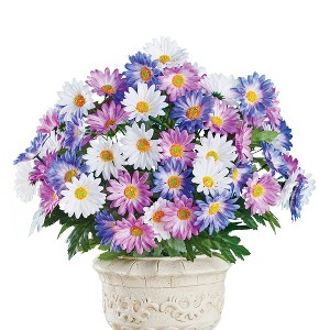 Collections Etc Grecian Windflower Bush Bundles - Set of 3 10 X 10 X 19 - 1 of 2