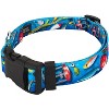 Country Brook Petz Deluxe Dog Collar - Sports and Athletics Collection - Made In The U.S.A. - 3 of 4