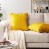 PAVILIA Set of 2 Throw Pillow Covers, Decorative Velvet Square Cushion Cases for Bed Sofa Couch Bedroom Living Room - 2 of 4