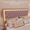 Queen Size Upholstered Bed Frame with Tufted Headboard and LED Lights for Bedroom or Apartment - 4 of 4